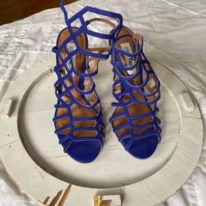 Strapped Blue Sandals
